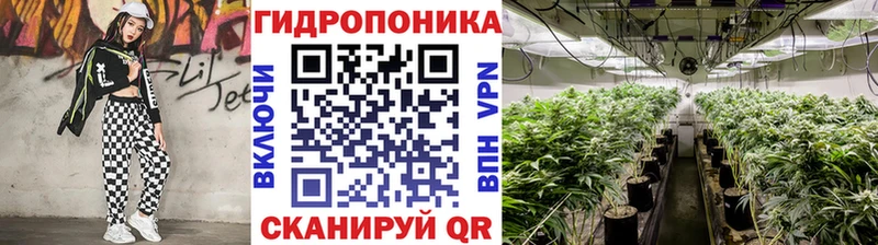 darknet состав  Кувшиново  Бошки марихуана White Widow 